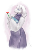 R - carnation