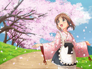 メイドみほと桜
