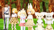 集合！ネコ科フレンズ