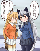 ギンギツネとキタキツネ