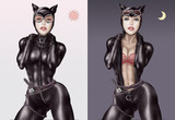 DC :Catwoman -Selina Kyle -001