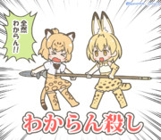 わかんないや！