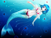 べにくらげ