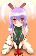 キャミィんげ