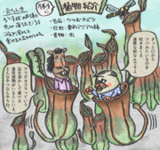 勝手に植物紹介～ウツボカズラ