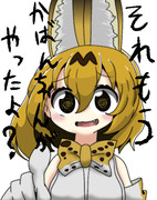 キミあんまり凄くないね！