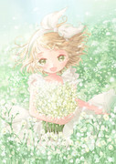 かすみ草 ニコニコ静画 イラスト