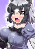 アライさん
