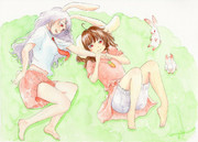 毎月17日と18日はイナバの日 「じゃれあう」