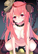 こころちゃん飼い始めました