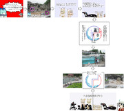 グレープ君に会ってきた その29(東武動物公園)