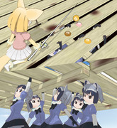 ベランダの下にアライさんがいるだけなんだけどなんか若干ゃホラー