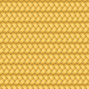 紐テクスチャ（金）