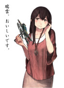 艦これ 「赤城、瑞雲を食う」