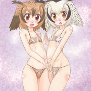 我々はオサなので