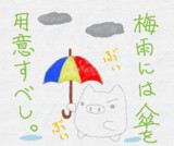 梅雨到来。。。