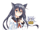 獣耳暁