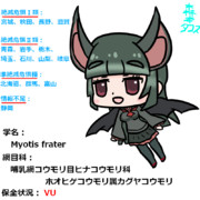 日本の絶滅危惧種『カグヤコウモリ』