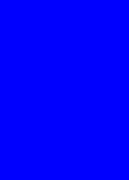 壁抜けSZ姉貴BB.GIF