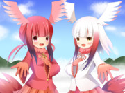 トキとショウジョウトキ 一緒に練習