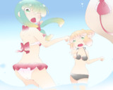 雛パル。