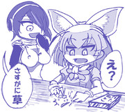 フェネックのかたぬき