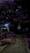 魔庭園