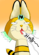 声の長いネコ？