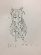 アマゾンシリーズ