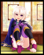 尾張幕府直轄預奉所軍所総監督 奇策士