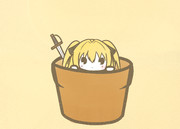 アブラナ