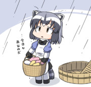 洗えないさん