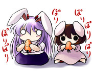 ぽりぽりうさうさ