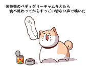 ※特売のペディグリーチャム与えたら食べ終わってからすっごい切ない声で鳴いた
