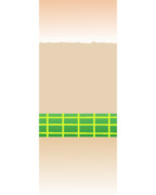 オグロプレーリードッグ