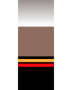 アメリカビーバー