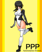 マウスとペイントでコウテイペンギン