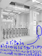 毎日一枚投稿乃誓④