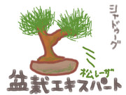 【シャドゥーグ】盆栽エキスパート