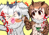 油揚げを「あーん」してくれるミミちゃん助手