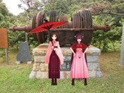 駆逐艦 澤風のタービン