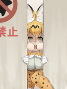 サーバルちゃん