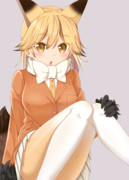 短髪キタキツネちゃん