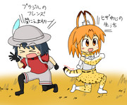 サバンナコンビ