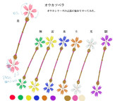 オウカソベラ(仮名)