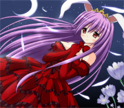 月下のうさぎ姫