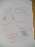 オーラ　グローブ（訂正）