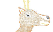 【無茶振りお題】　鹿　【イメージだけで描いてみた】