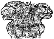 まさかの正式認定