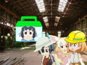 アライさん救出作戦